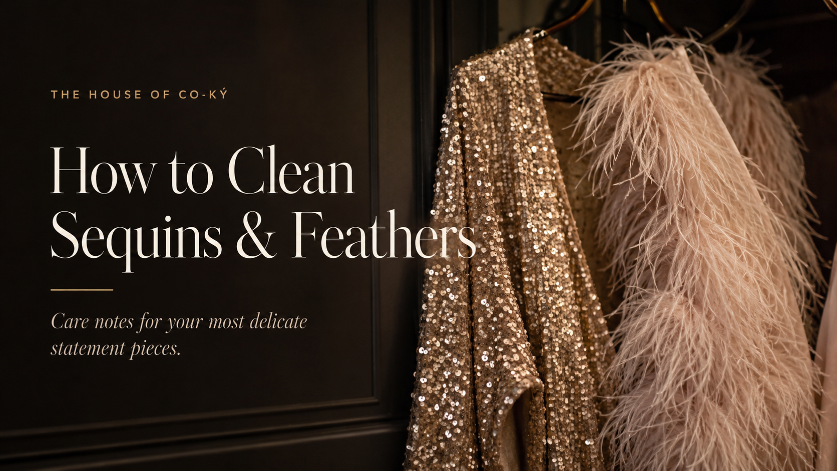 Care: Sequins and Feathers