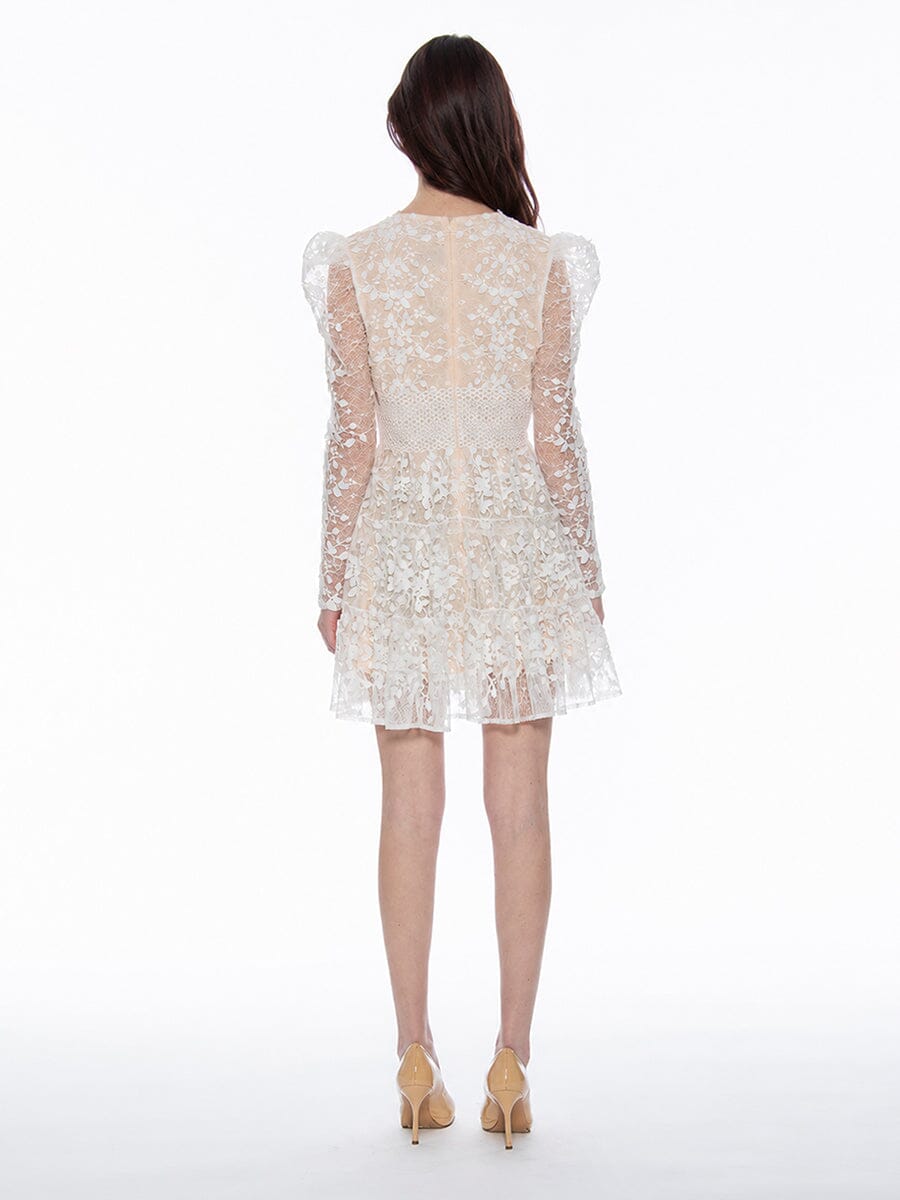 Flowery Embroidered Lace V-Neck Mesh Mini Dress