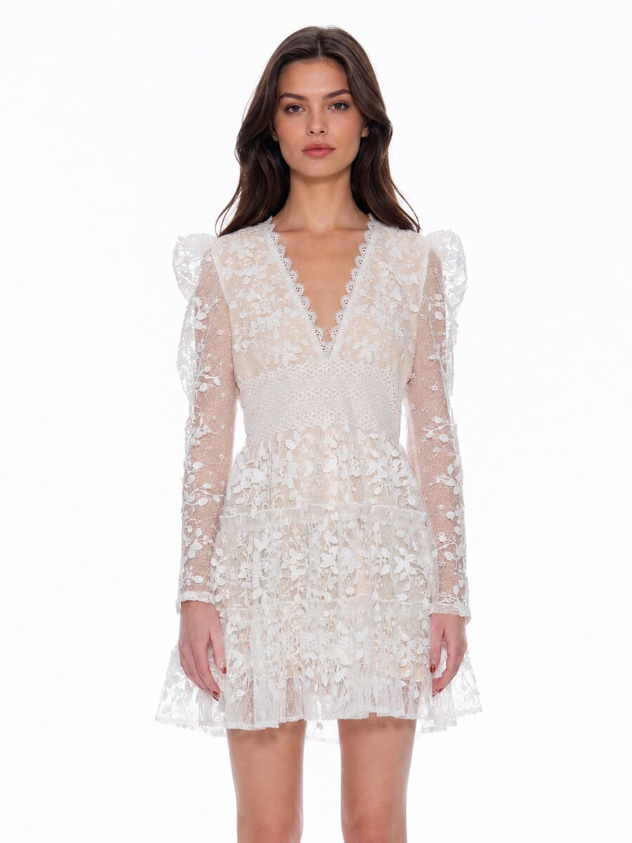 Flowery Embroidered Lace V-Neck Mesh Mini Dress