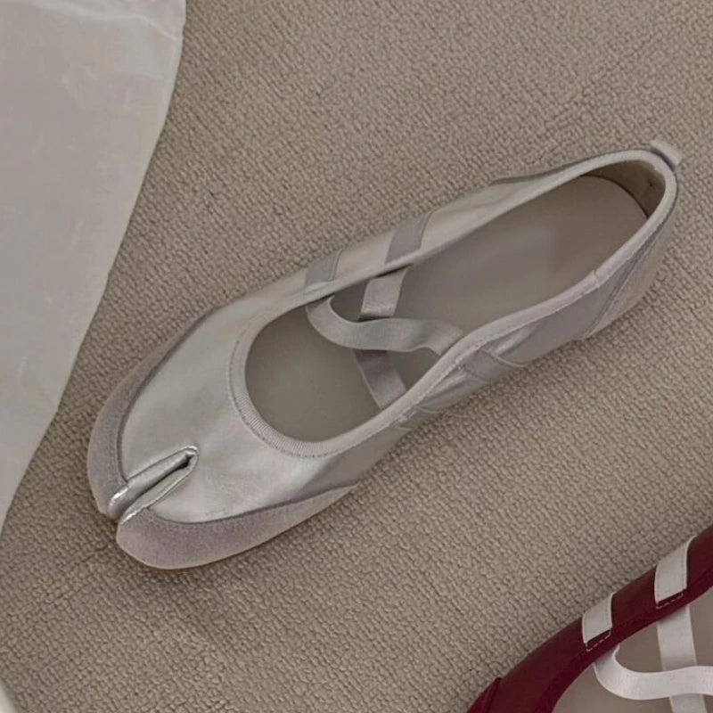 Silver ballet flats on a textured surface